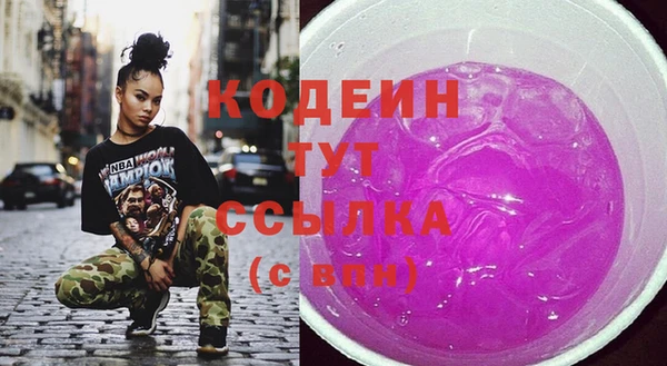 мет Корсаков