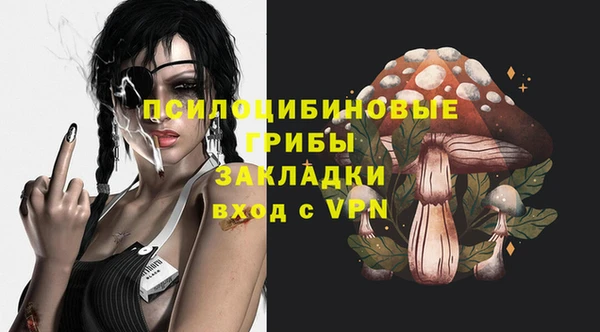 бутират Коряжма
