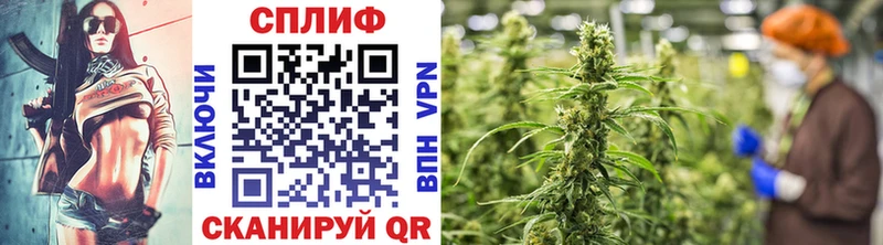 наркота МЕГА маркетплейс Канабис White Widow Козьмодемьянск